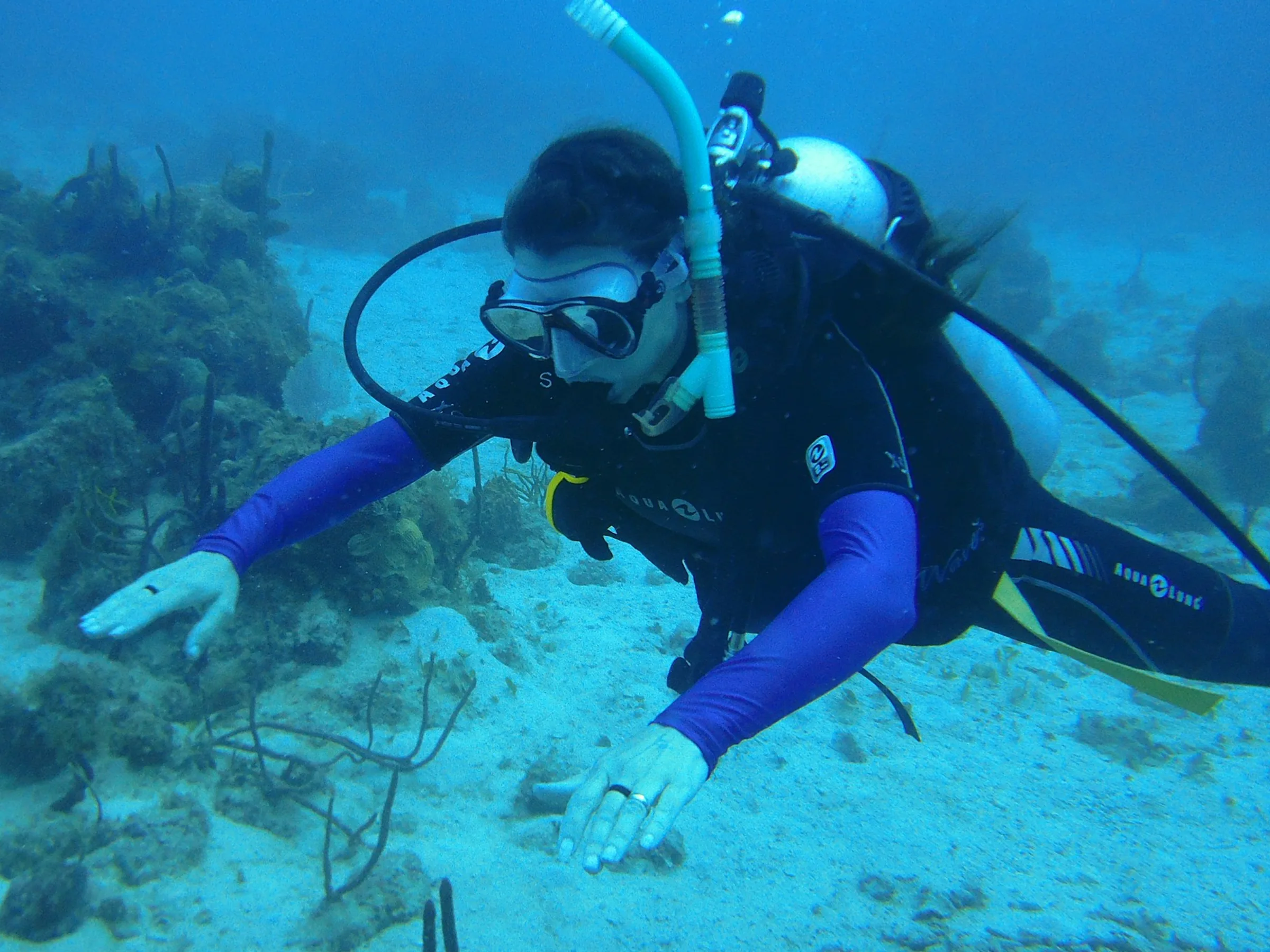 Fun divers exploring Hong Kong coral reefs