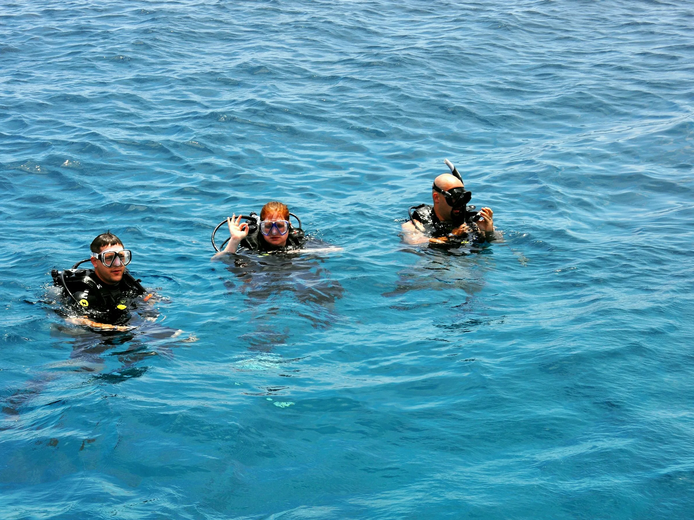 Diving rescue scenario training session