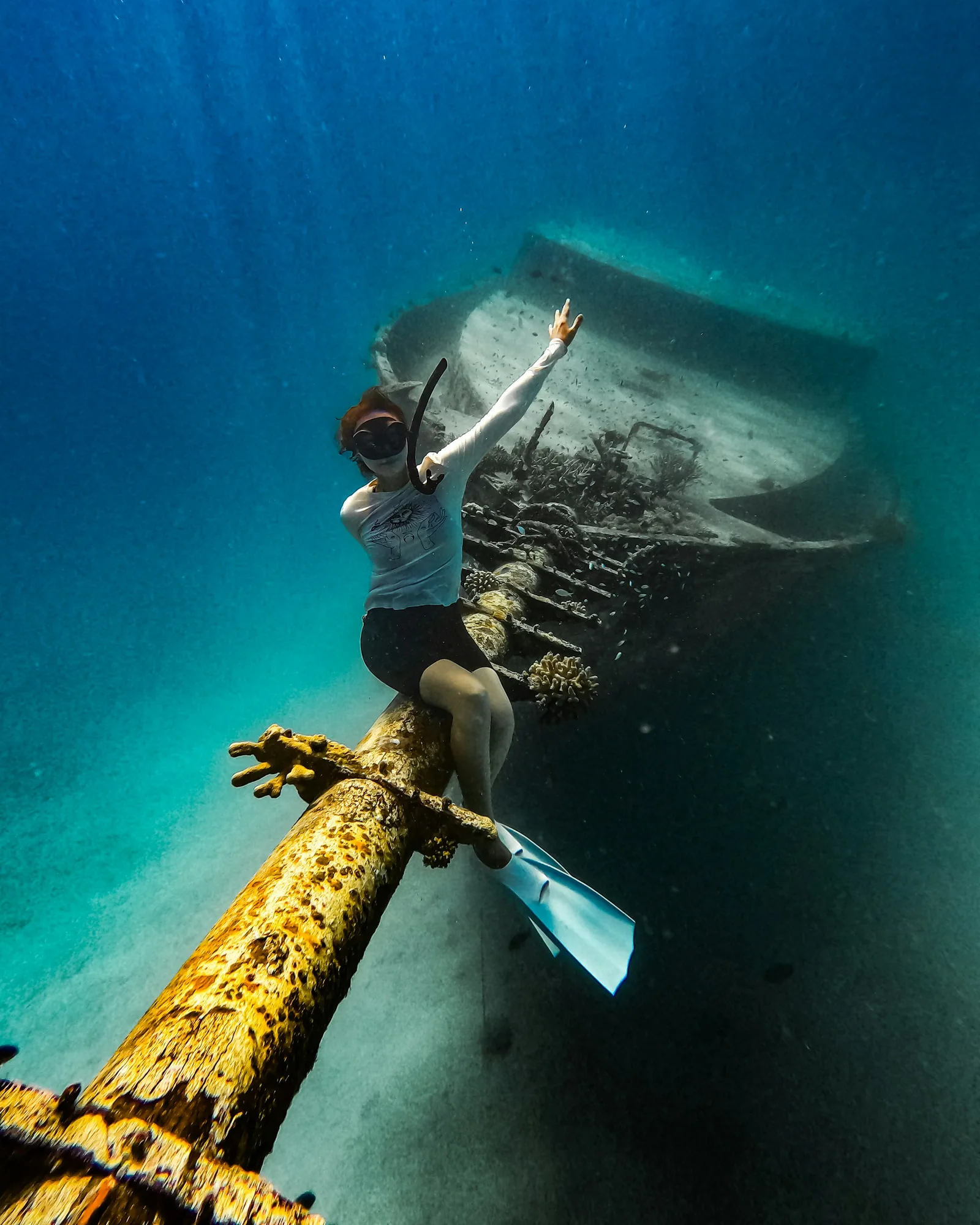 Maldives underwater with whale shark