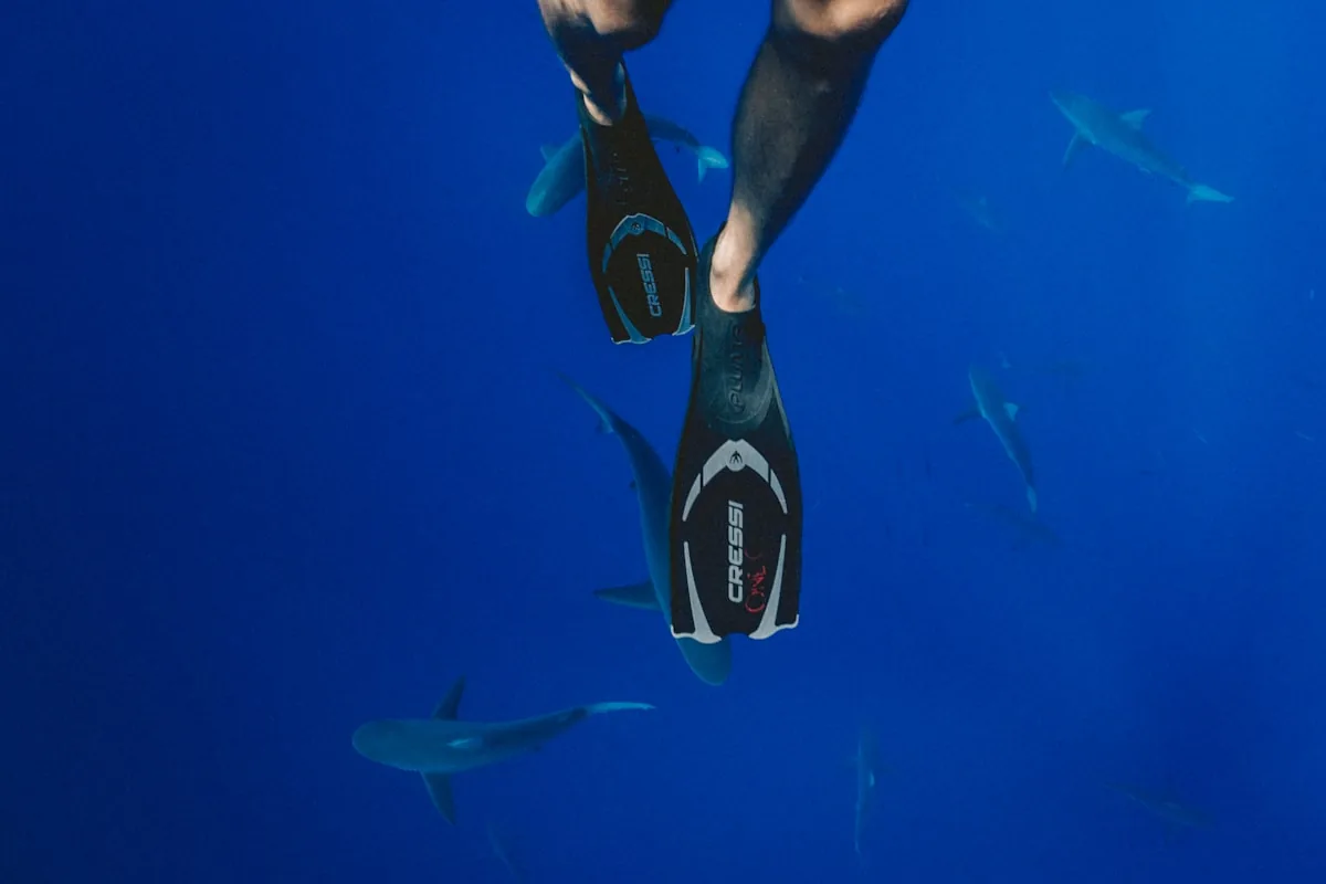 Scuba diving fins